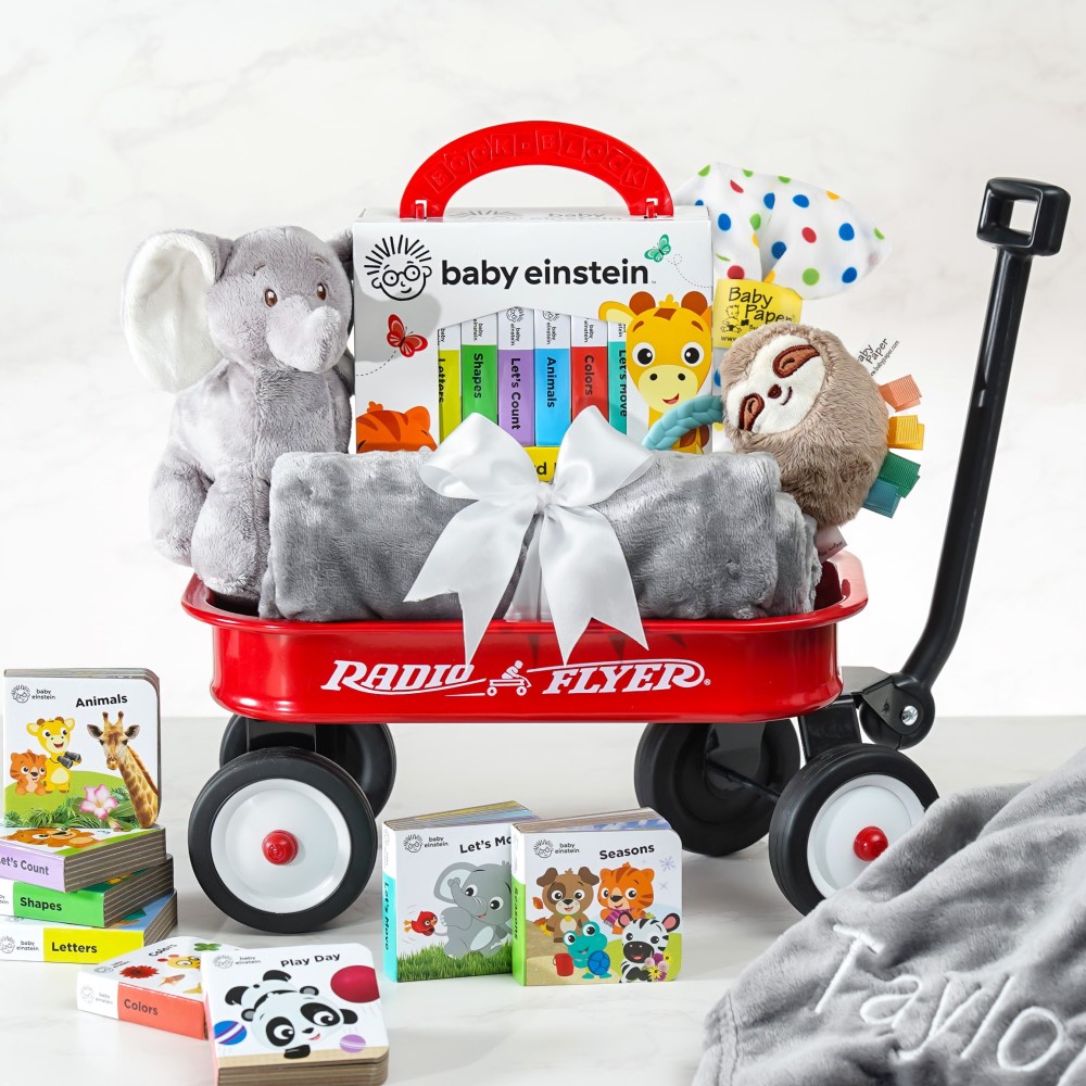 >Baby Einstein Jungle Joy Wagon