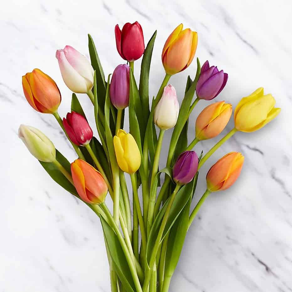 Buy our rush of color assorted tulip bouquet at broadwaybasketeers.com